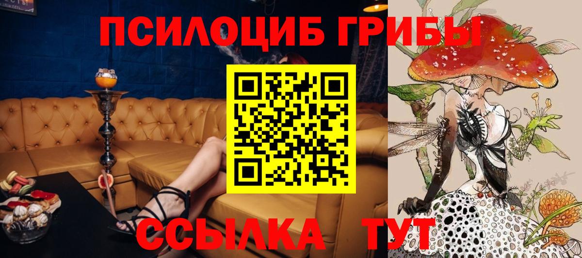 Псилоцибиновые грибы Magic Shrooms Горно-Алтайск