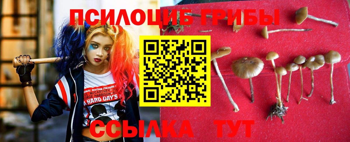 APVP Горно-Алтайск